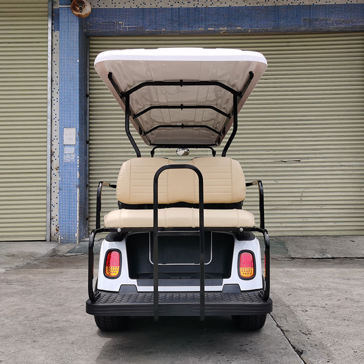 ఆధునిక ఎలక్ట్రిక్ సందర్శనా కారులో మీరు ఏ భద్రతా ఫీచర్లను చూడాలి