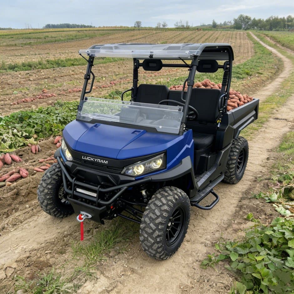 73.6V 4WD UTV 10kw AC మోటార్ EPS స్టీరింగ్ 150ah బ్యాటరీ